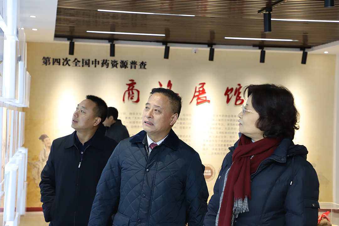 1611122112.jpg IMG_6110.JPG